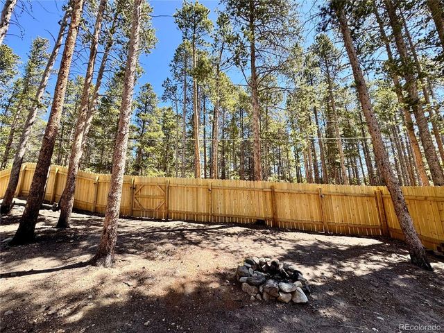 82 Adelaide Ct, Leadville, CO 80461
