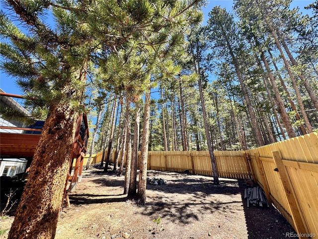 82 Adelaide Ct, Leadville, CO 80461