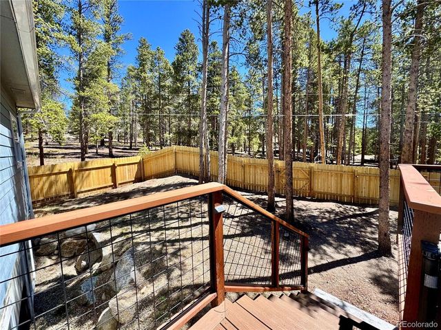 82 Adelaide Ct, Leadville, CO 80461