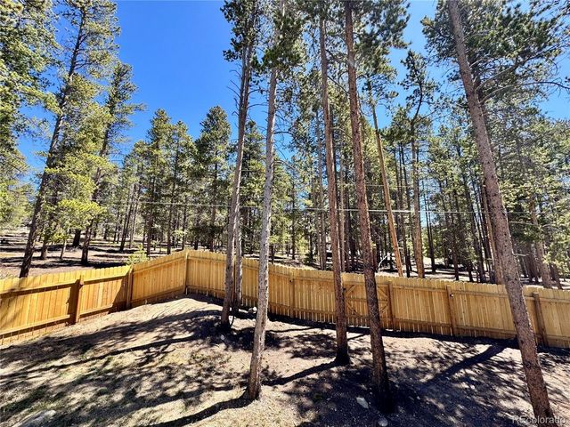 82 Adelaide Ct, Leadville, CO 80461