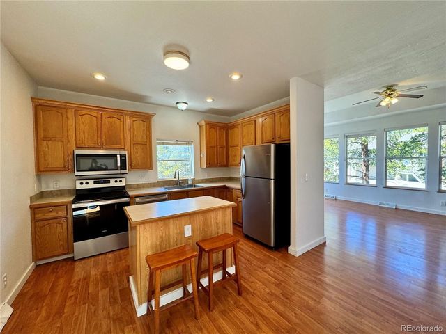 82 Adelaide Ct, Leadville, CO 80461