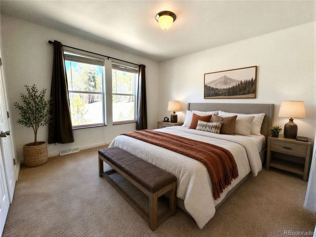 82 Adelaide Ct, Leadville, CO 80461