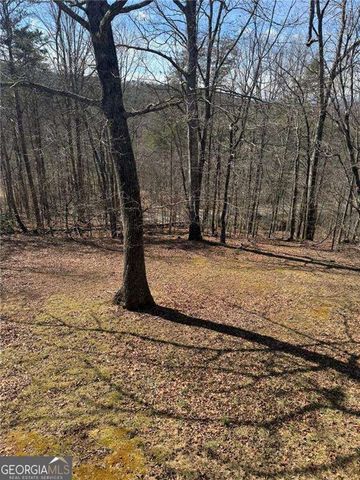 7089 Highway 19 N, Dahlonega, GA 30533