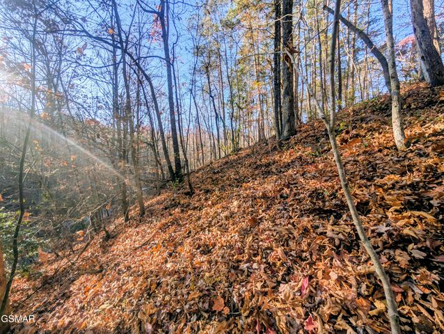 Lot 483 School House Gap Road, Sevierville, TN 37876