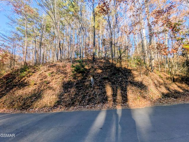Lot 483 School House Gap Road, Sevierville, TN 37876