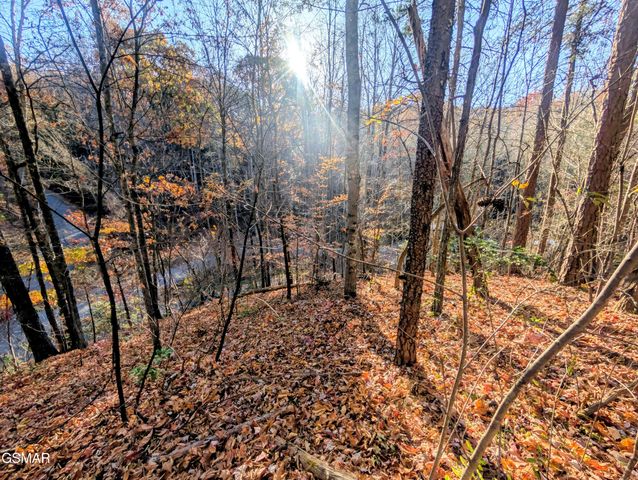 Lot 483 School House Gap Road, Sevierville, TN 37876