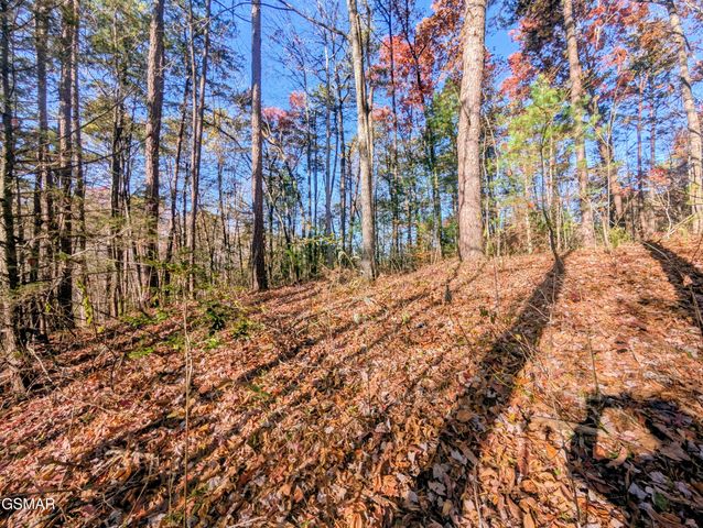 Lot 483 School House Gap Road, Sevierville, TN 37876