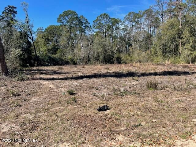 0 SIOUX Avenue, Interlachen, FL 32148