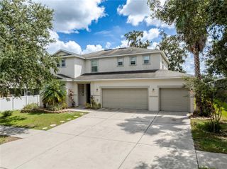 11135 HARTFORD FERN DRIVE, Riverview, FL 33569