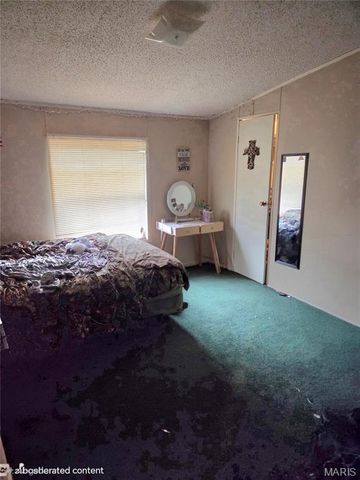 300 Casey Road, Farmington, MO 63640