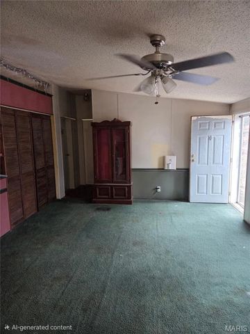 300 Casey Road, Farmington, MO 63640