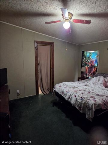 300 Casey Road, Farmington, MO 63640