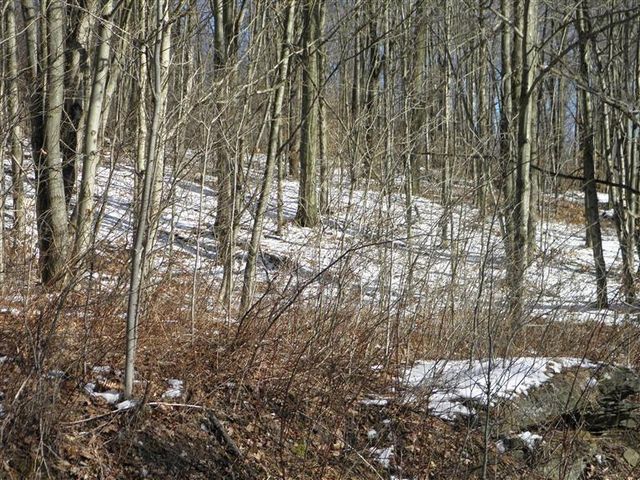 0 County Highway 26, Hamden, NY 13782