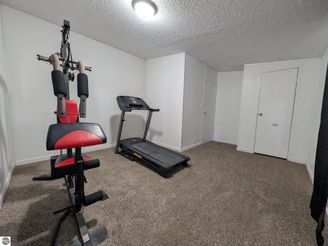 6930 E Willard Road, Vestaburg, MI 48891