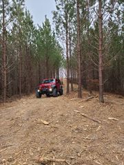 230 Juniper Dr, Linden, TN 37096