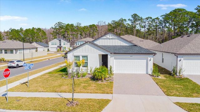 18289 PEARL VIEW PLACE, Lutz, FL 33548