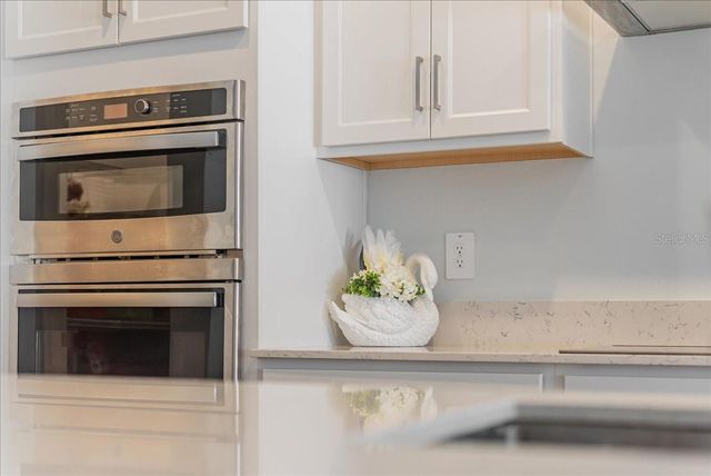 18289 PEARL VIEW PLACE, Lutz, FL 33548