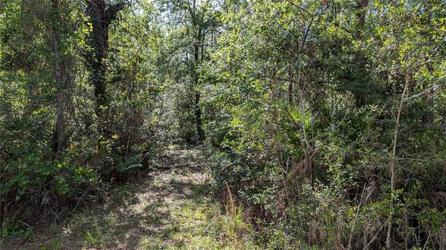 00 NE 108TH PLACE, Waldo, FL 32694