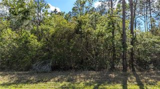 00 NE 108TH PLACE, Waldo, FL 32694