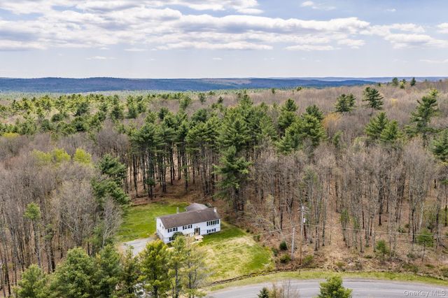 87 Airport Road, Eldred, NY 12732