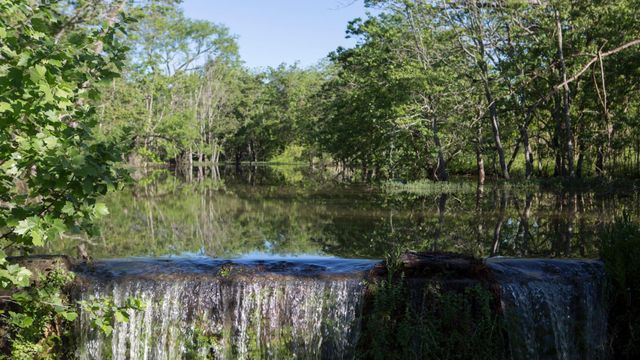 228 Leaning Rock RDG, Austin, TX 78737