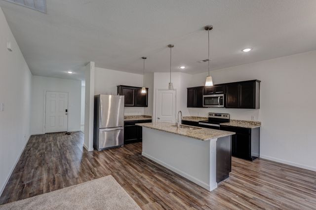 313 Concho River Drive, Glenn Heights, TX 75154