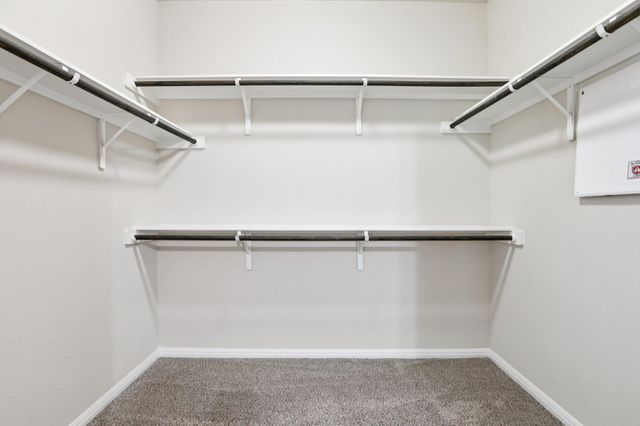 174 Friendship Oak DR, San Marcos, TX 78666