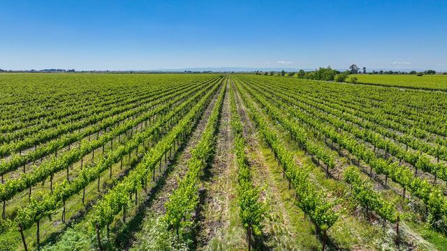 37830 Jefferson Blvd, Clarksburg, CA 95612