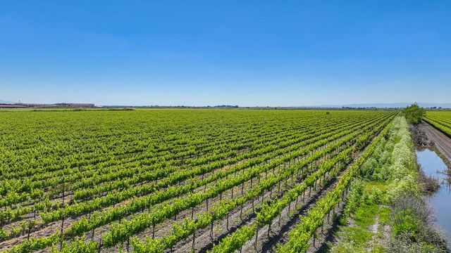 37830 Jefferson Blvd, Clarksburg, CA 95612