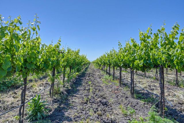 37830 Jefferson Blvd, Clarksburg, CA 95612