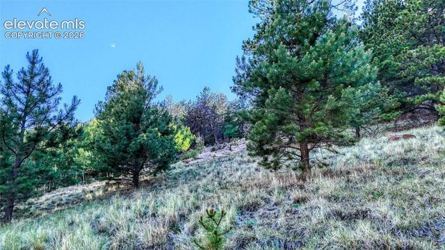 83 Penrose Circle, Cripple Creek, CO 80813
