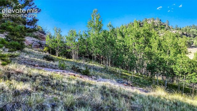 83 Penrose Circle, Cripple Creek, CO 80813