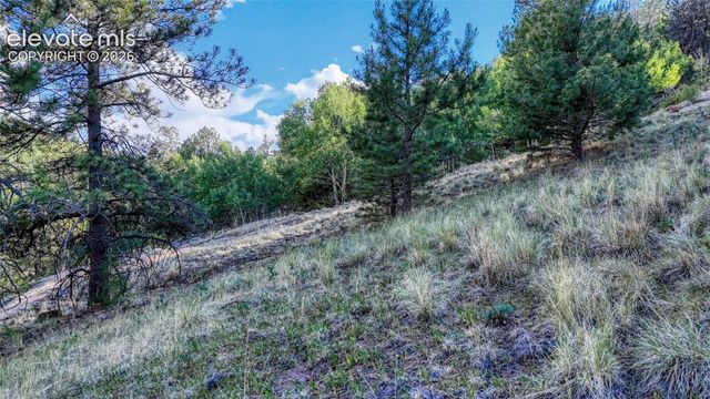 83 Penrose Circle, Cripple Creek, CO 80813