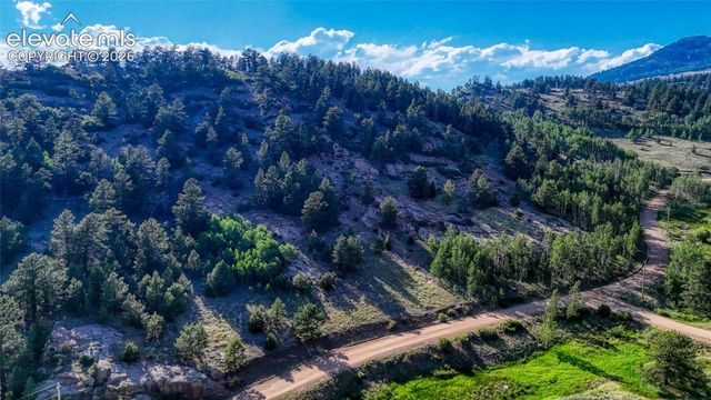 83 Penrose Circle, Cripple Creek, CO 80813