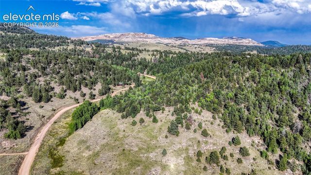 83 Penrose Circle, Cripple Creek, CO 80813
