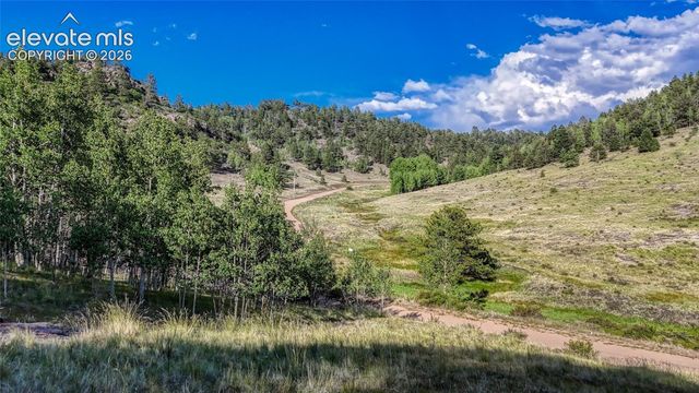 83 Penrose Circle, Cripple Creek, CO 80813