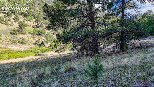 83 Penrose Circle, Cripple Creek, CO 80813
