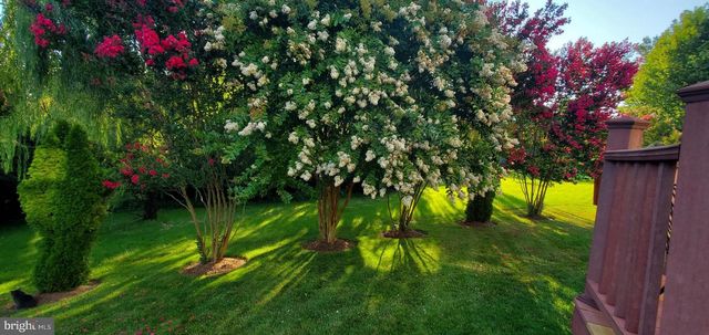 14408 TRACY SCHAR LN, Centreville, VA 20121