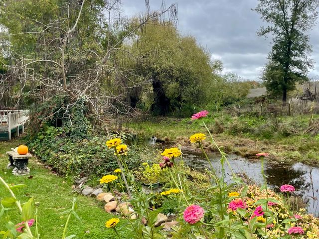 515 Clinton Rd, Jackson, CA 95642