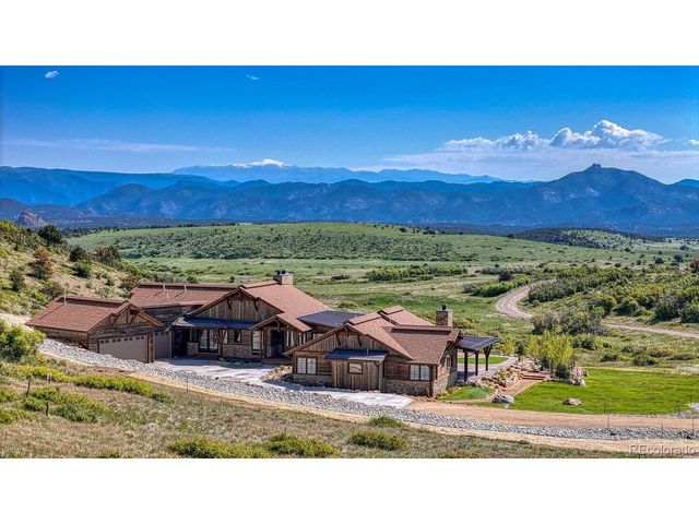 1768 Running Bear, Cotopaxi, CO 81223