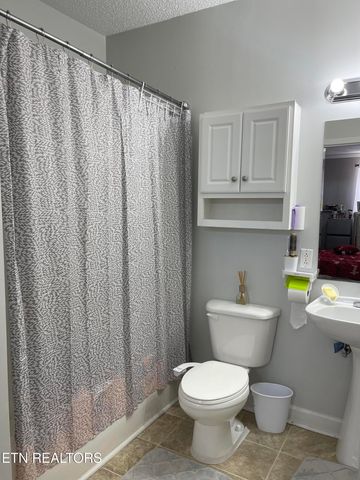 509 Cedar Lane, Knoxville, TN 37912