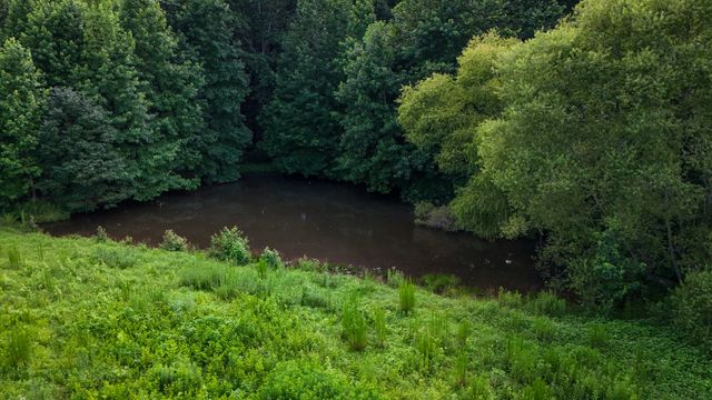 193 Westside Rd, Lawrenceburg, TN 38464