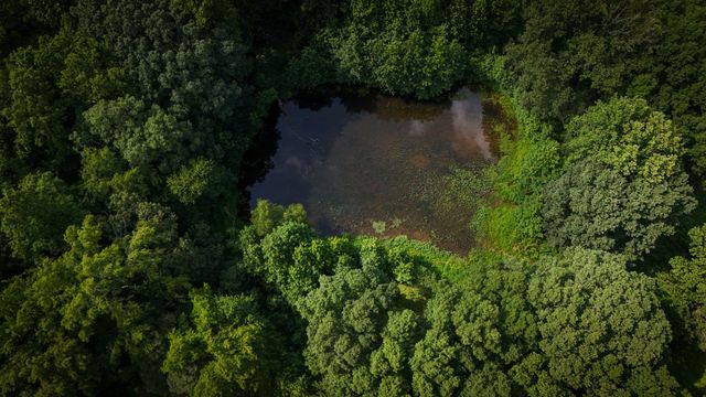 193 Westside Rd, Lawrenceburg, TN 38464