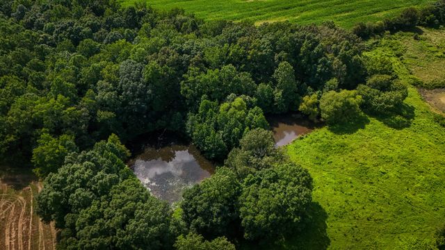 193 Westside Rd, Lawrenceburg, TN 38464