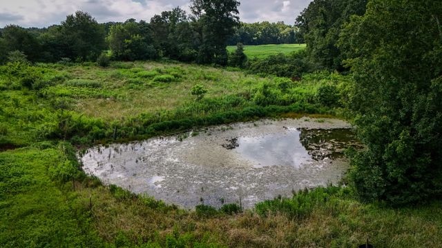 193 Westside Rd, Lawrenceburg, TN 38464