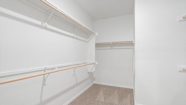 2521 Ophelia Levi LN, Round Rock, TX 78665