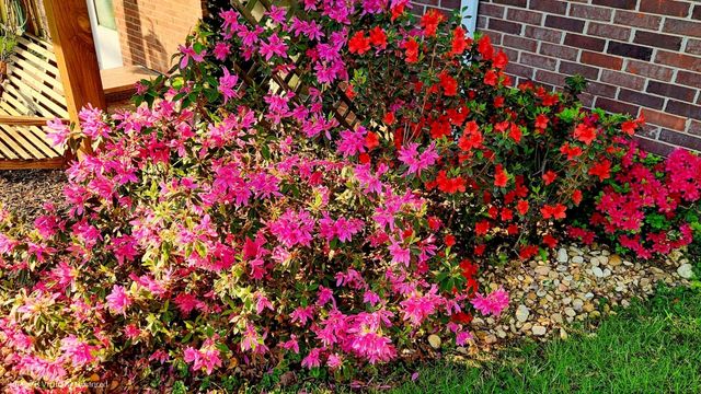 301 Oakwood Cv, La Vergne, TN 37086