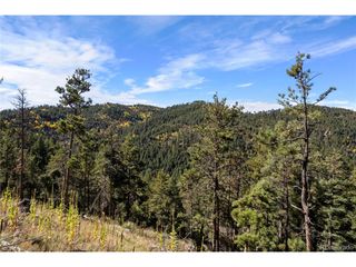 13126 Andiron Way, Larkspur, CO 80118
