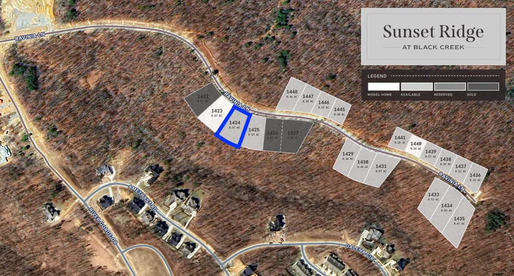 4853 Ravinia Lane 1424, Chattanooga, TN 37419