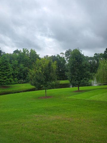 126 Citrea Drive, Summerville, SC 29483